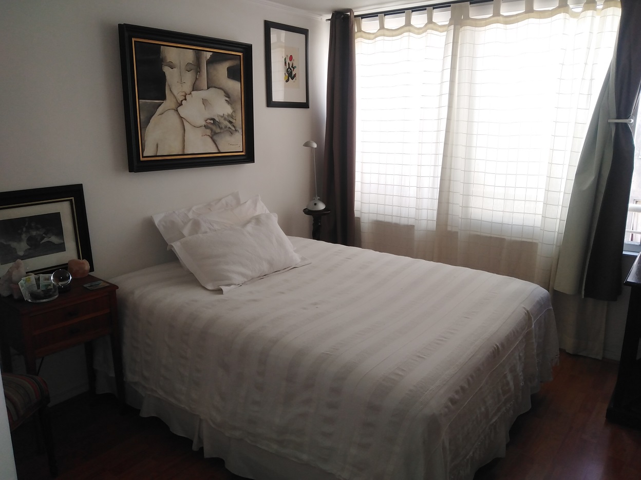 498 santo domingo,Santiago,1 Dormitorio Bedrooms,1 BañoBathrooms,Departamento,santo domingo,1067