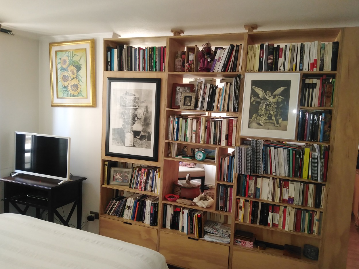 498 santo domingo,Santiago,1 Dormitorio Bedrooms,1 BañoBathrooms,Departamento,santo domingo,1067