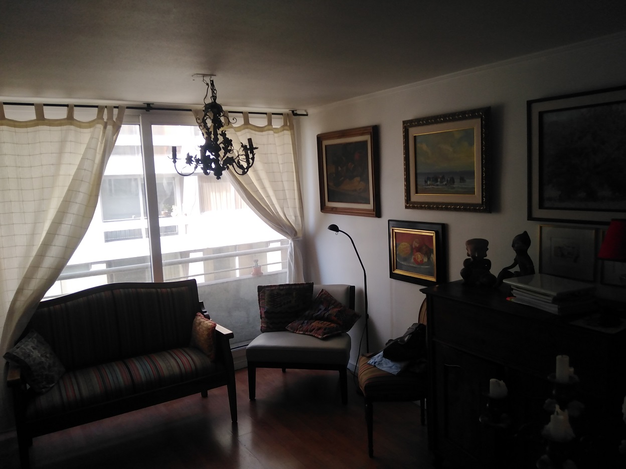 498 santo domingo,Santiago,1 Dormitorio Bedrooms,1 BañoBathrooms,Departamento,santo domingo,1067