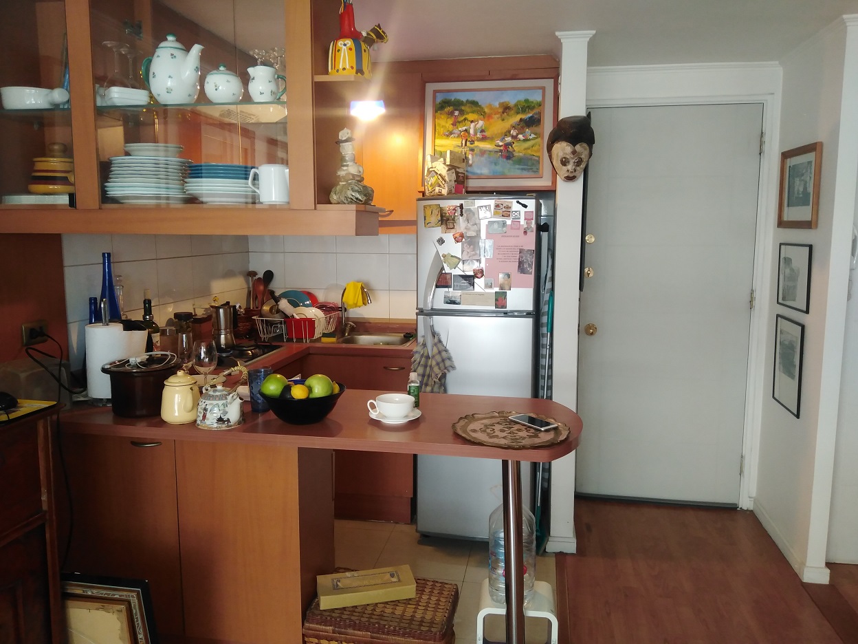 498 santo domingo,Santiago,1 Dormitorio Bedrooms,1 BañoBathrooms,Departamento,santo domingo,1067