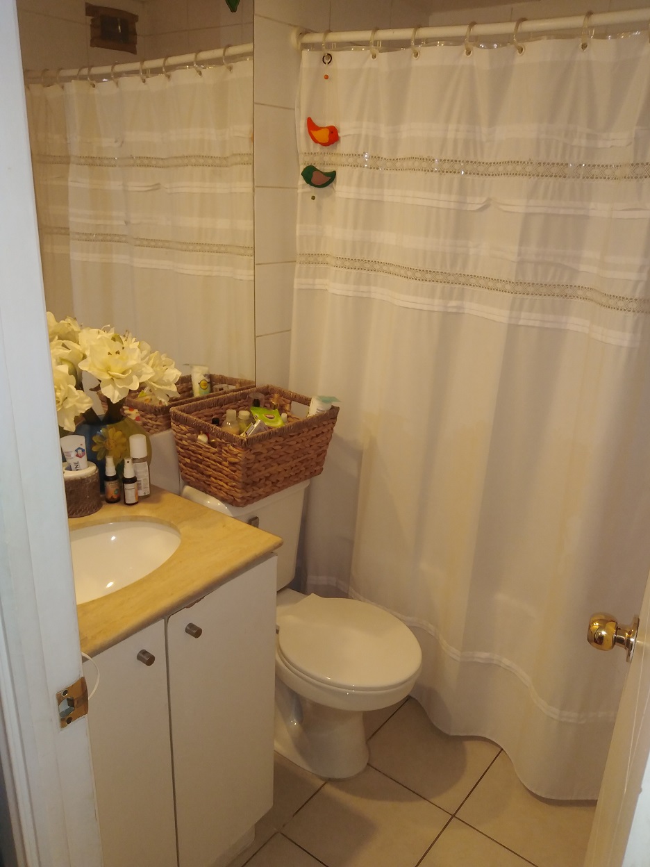 498 santo domingo,Santiago,1 Dormitorio Bedrooms,1 BañoBathrooms,Departamento,santo domingo,1067